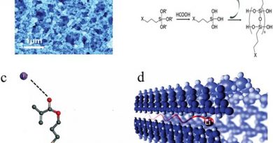 Chem. Soc. Rev. 综述：离子液体及其衍生物在锂/钠电池中的应用